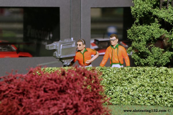 Hedge scale 1:32