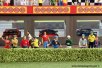 Slotracing hedge